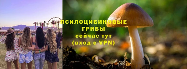 тгк Аркадак