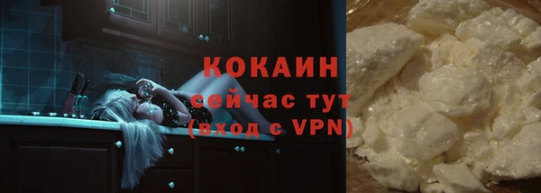 гашик Арсеньев