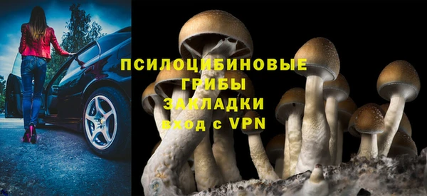 тгк Аркадак
