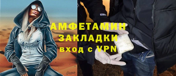 индика Заволжье