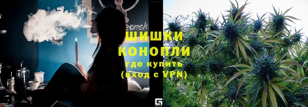 гашик Арсеньев