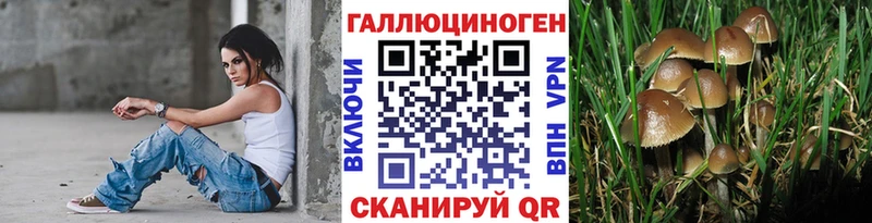 цены наркотик Октябрьск Псилоцибиновые грибы Magic Shrooms